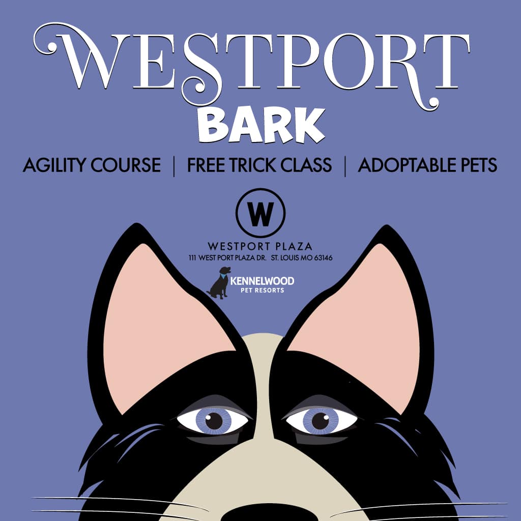 Westport Bark at Westport Plaza