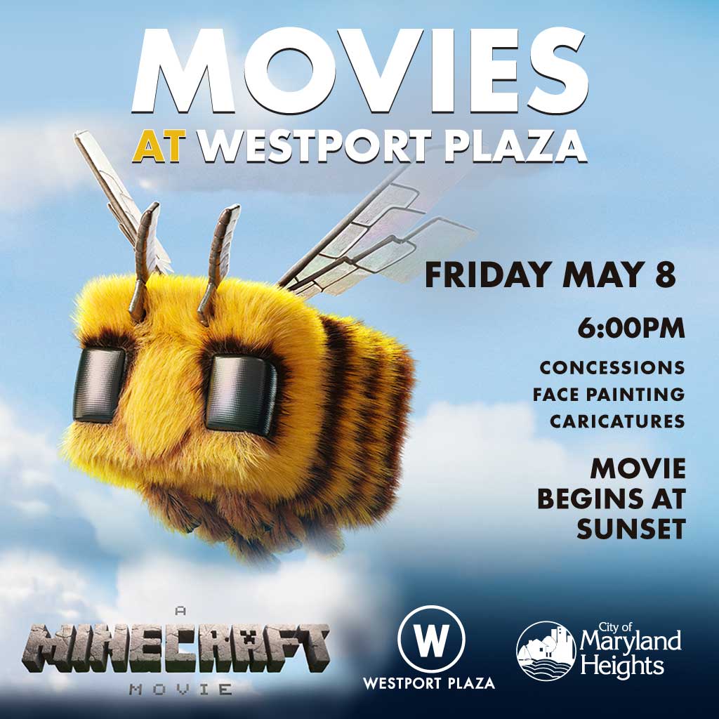 Minecraft Movie Night