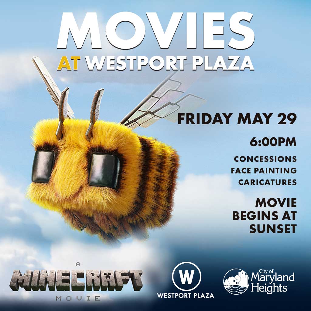 Minecraft Movie Night